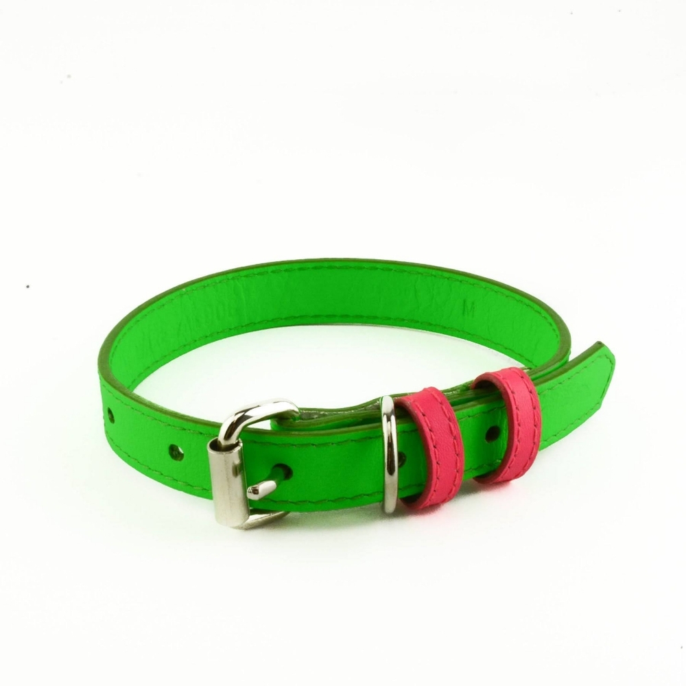 NWT dog collar